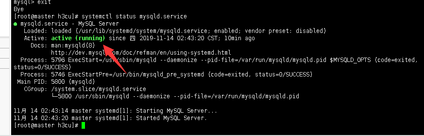 mysql