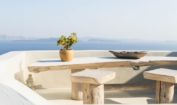 brown pot with green plant on wooden bench